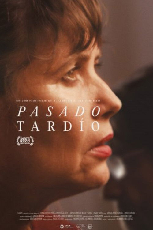 Pasado Tardío (2022) poster