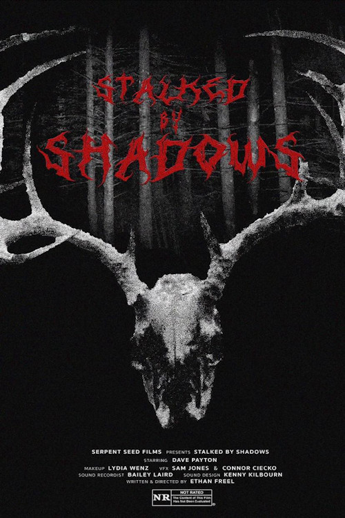 Stalked by Shadows (2024) poster