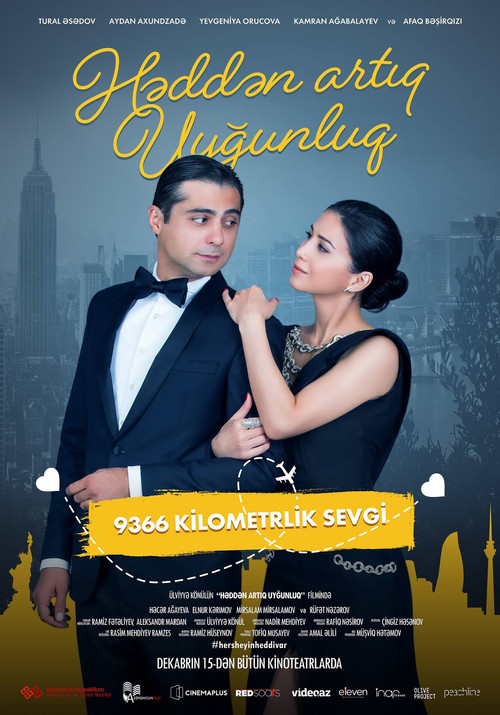 Həddən Artıq Uyğunluq (2017) poster