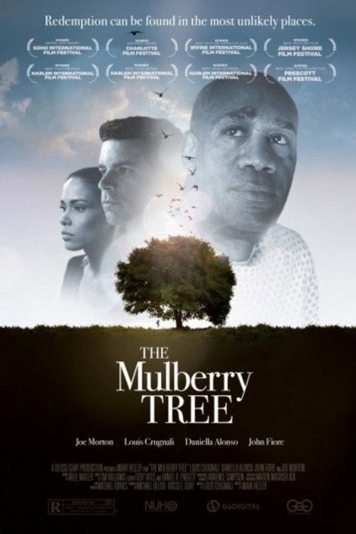 The Mulberry Tree (2010) poster