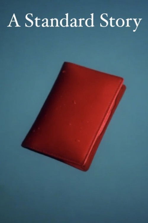 A Standard Story (2011) poster