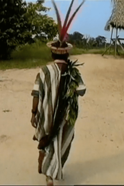 Shomõtsi (2001) poster