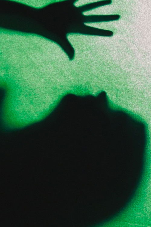 Penitentiary (2024) poster