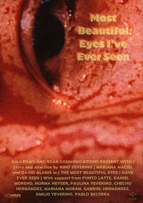 Most Beautiful Eyes I've Ever Seen (2024) poster