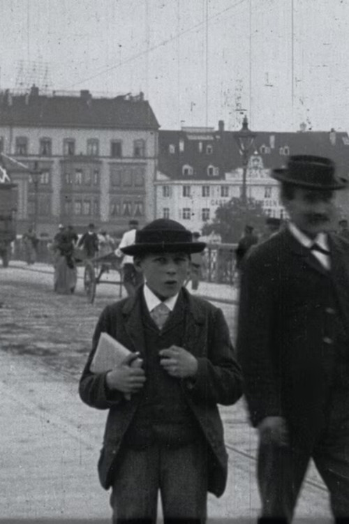 Pont sur le Rhin (1896) poster