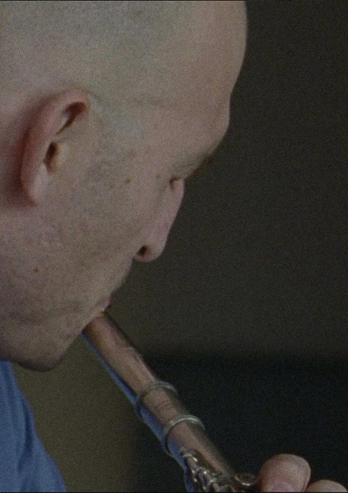 one, two, many (2012) poster