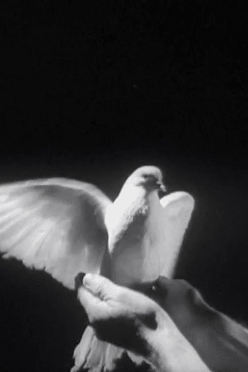 The Butterfly and the Candle Flame (1956) poster