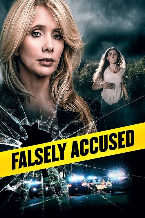 Falsely Accused (2016) poster