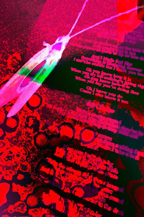 Observações do Dr. Cânhamo (2024) poster