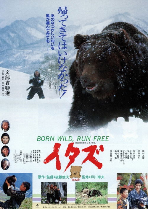 The Forest of the Little Bear (1987) poster