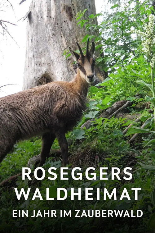 Roseggers Waldheimat - Ein Jahr im Zauberwald (2014) poster