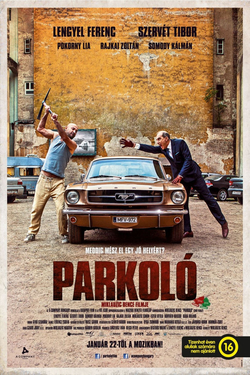 Car Park (2015) poster