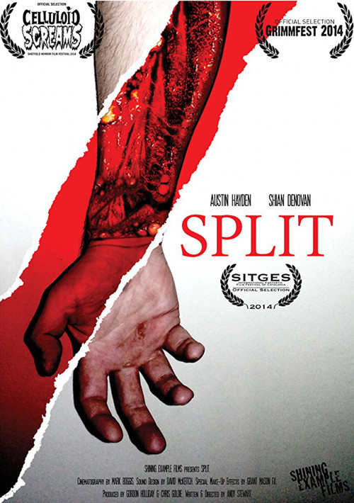 Split (2014) poster