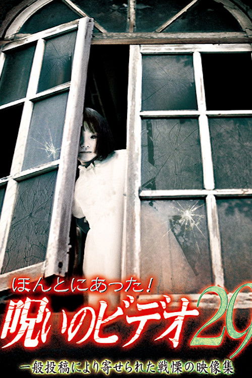 Honto ni Atta! Noroi no Video 29 (2008) poster
