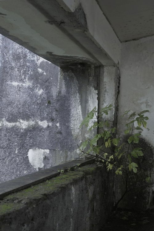 Hollow (2023) poster