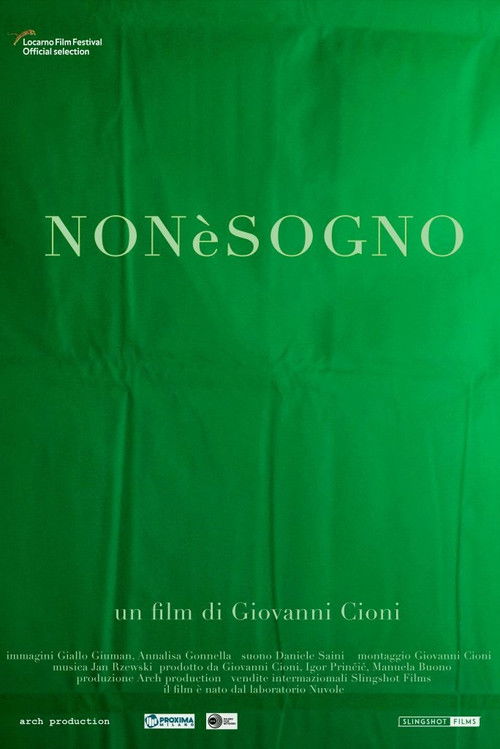 Non è sogno (2019) poster
