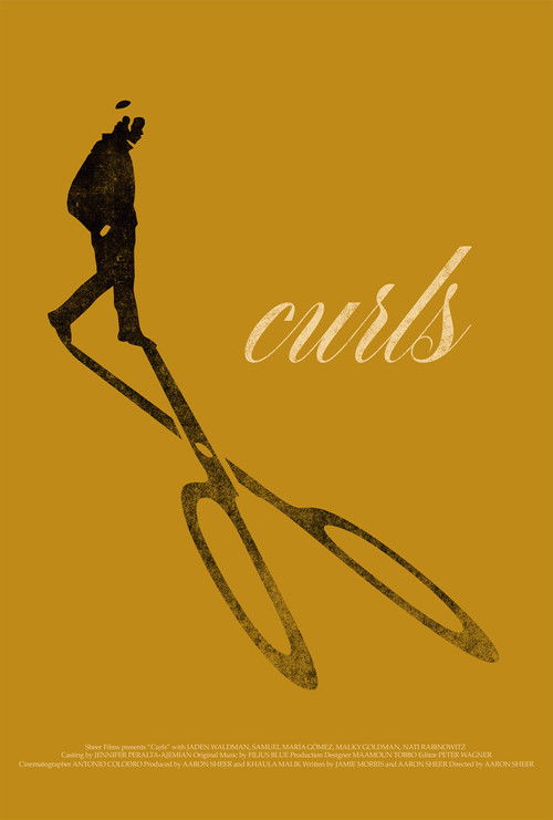 Curls poster
