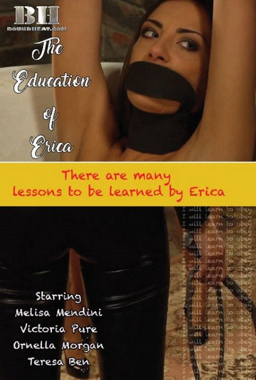 The Education Of Erica (2017) poster