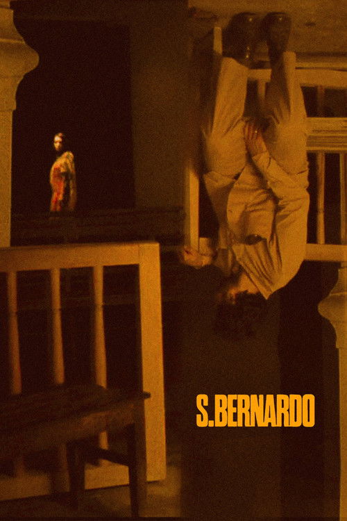 Saint Bernard (1972) poster