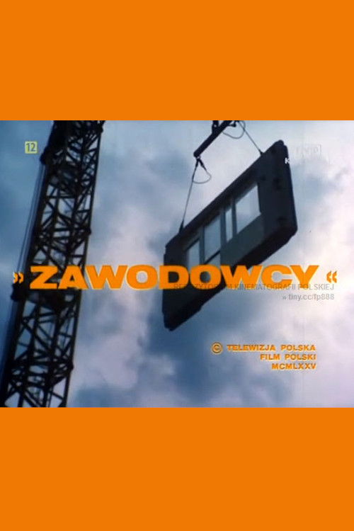 Zawodowcy (1975) poster