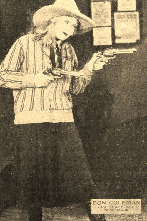 The Black Ace (1928) poster