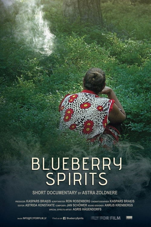 Blueberry Spirits (2017) poster