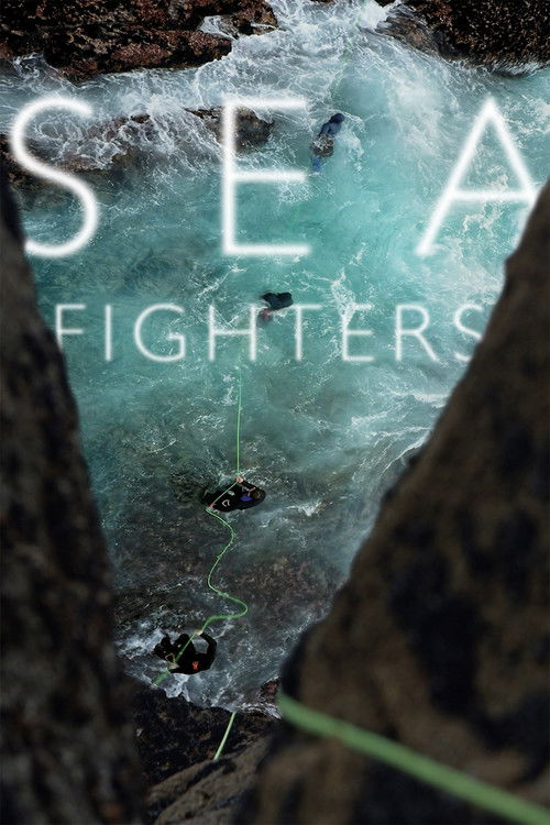 Seafighters (2017) poster