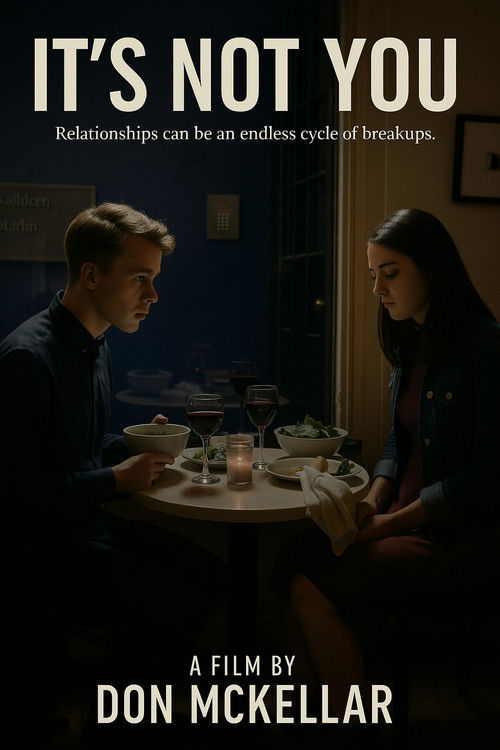 It's Not You (2015) poster