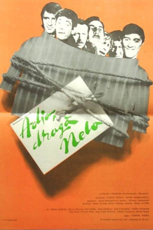 Farewell, Dear Nela! (1972) poster