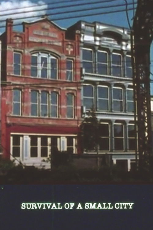 Survival of a Small City (1987) poster