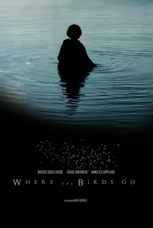 Where the birds go (2019) poster