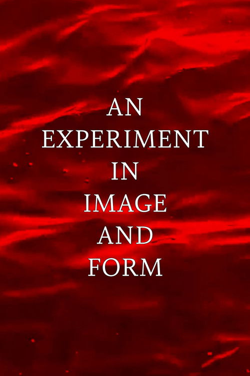 An Experiment in Image and Form (2024) poster