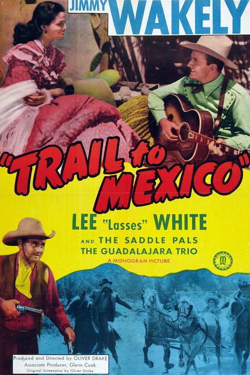 Trail to Mexico (1946) poster