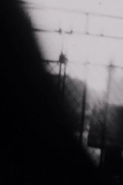 Double Shutter (1970) poster