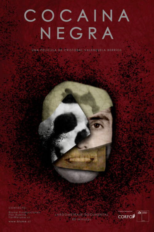 Cocaína negra (2026) poster