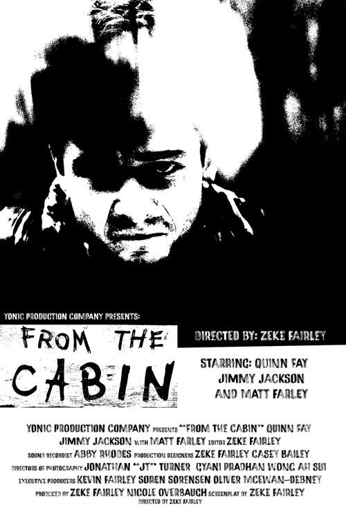 From The Cabin (2025) poster