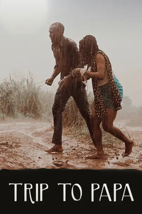 Trip to Papa (2019) poster