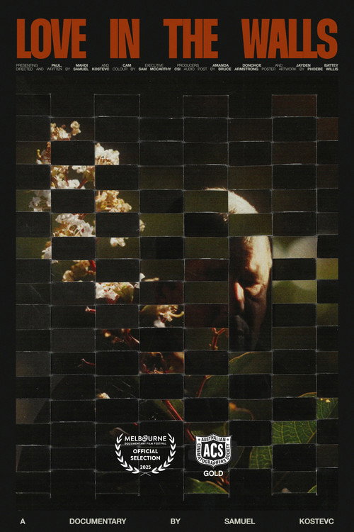 Love in the Walls (2025) poster