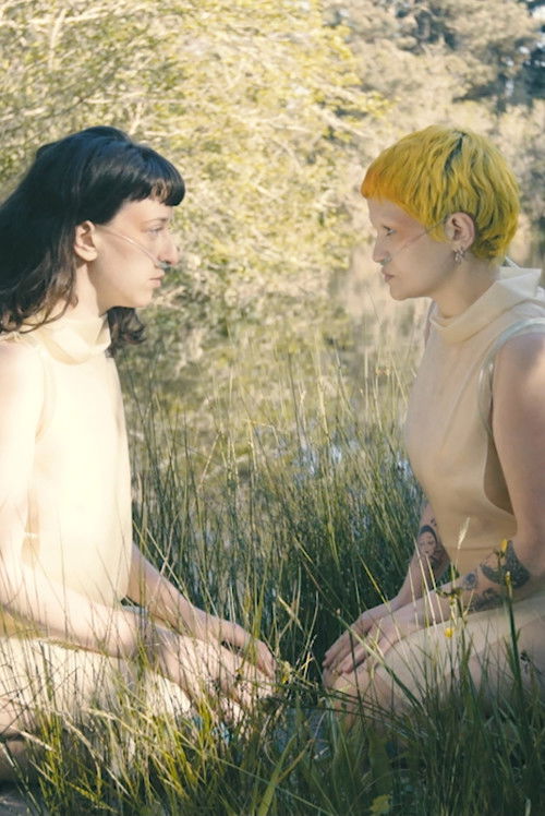 CYANOVISIONS (2020) poster