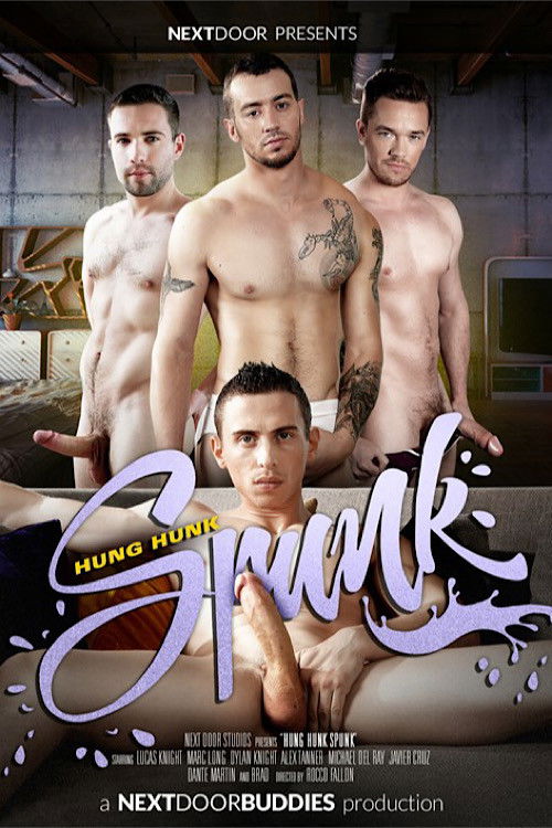 Hung Hunk Spunk (2016) poster