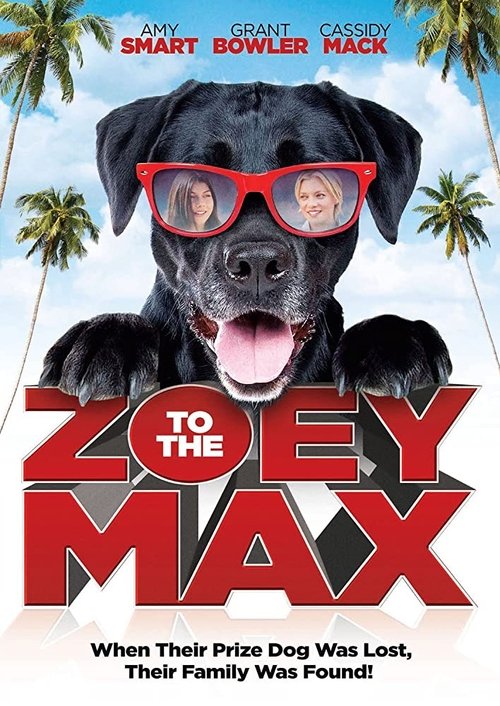 Zoey to the Max (2015) poster