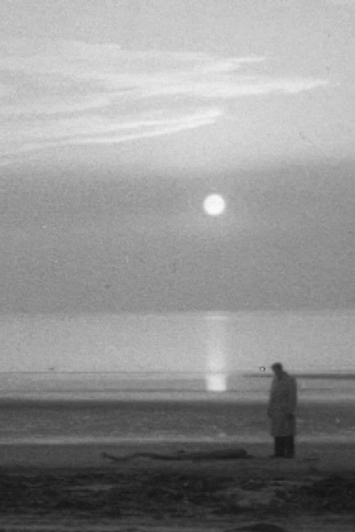 Falls the Shadow (1958) poster