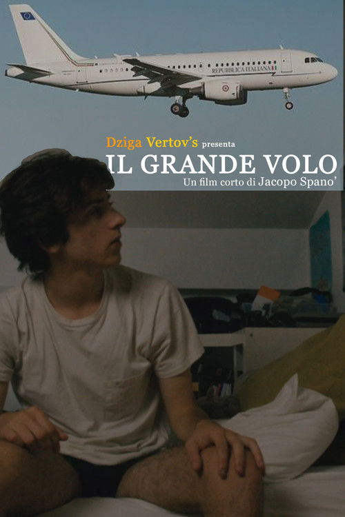 Il grande volo (2024) poster
