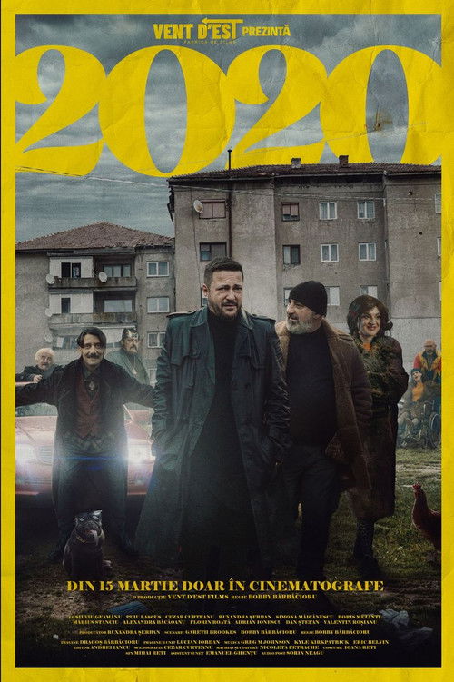 2020 (2024) poster