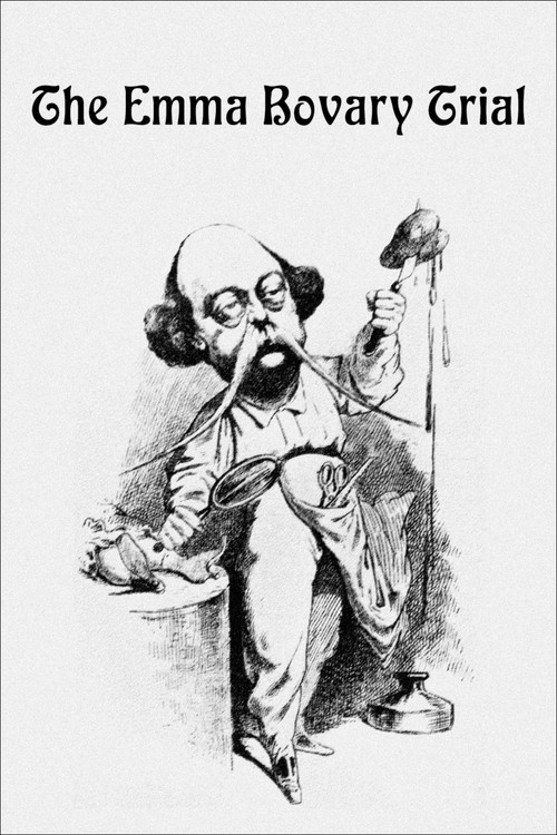 The Emma Bovary Trial (2021) poster