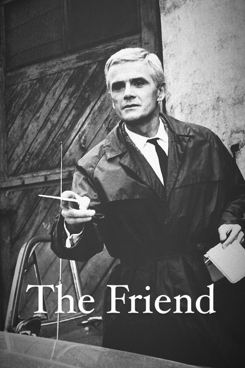 The Friend (1965) poster