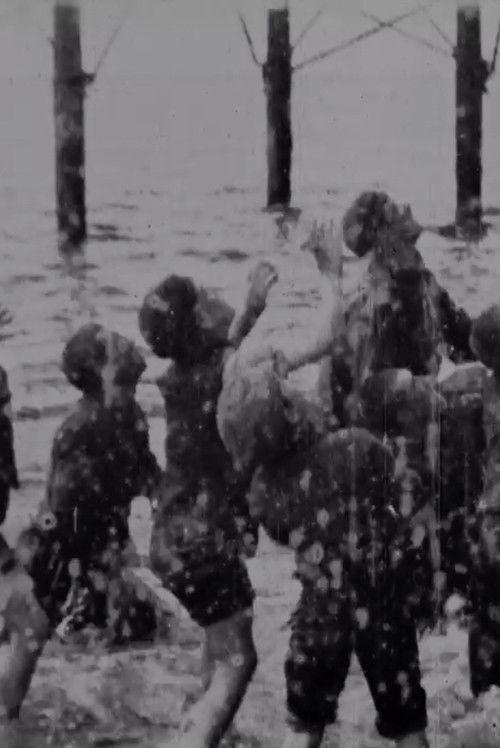 Boys Scrambling For Pennies (1896) poster