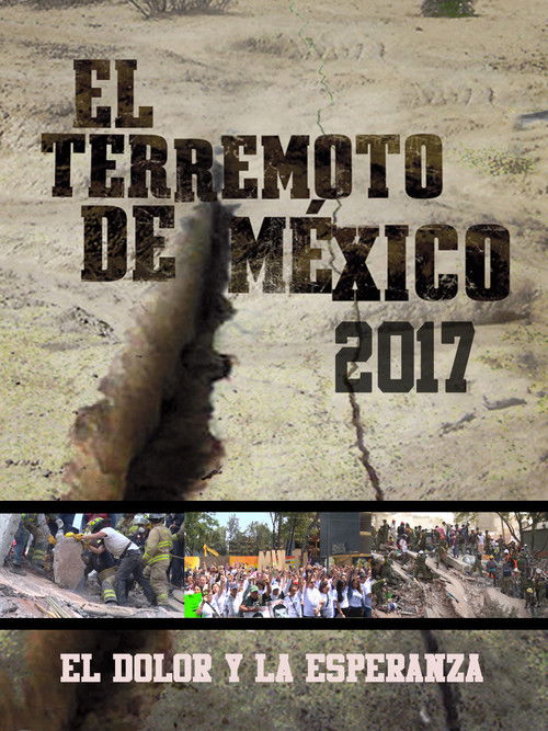 El dolor y la esperanza (2017) poster