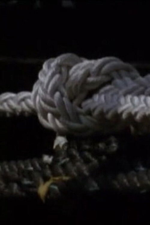 A Grammar for Listening (Part 2) (2009) poster