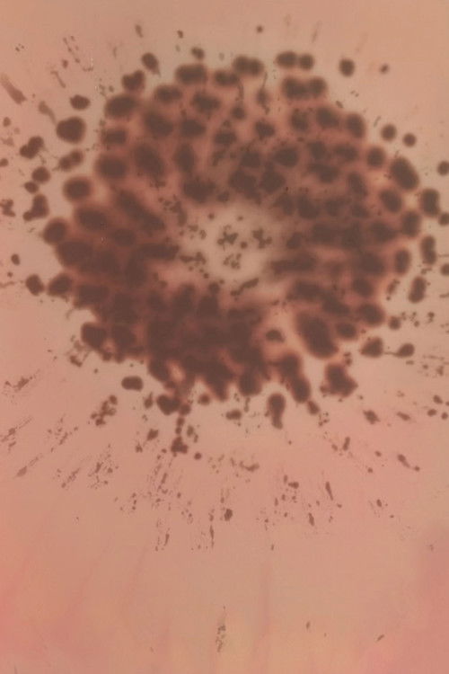 451 Saddler Street 44°10’20.6”N 80°49’27.0”W poster